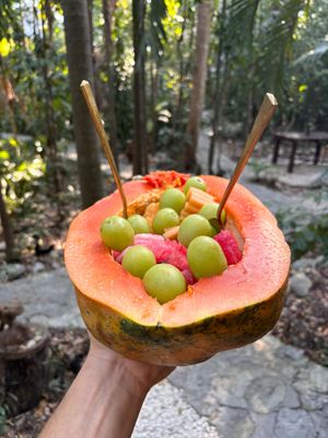  at TreeHouse La Selva in Playa Del Carmen