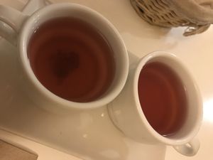   at La Biotika in Madrid