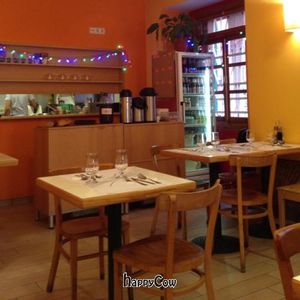 interior at La Biotika in Madrid