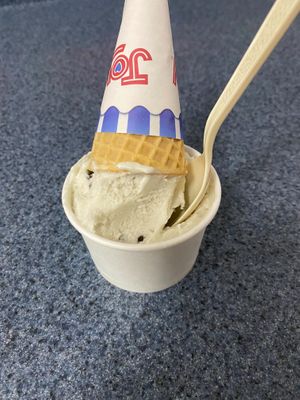 Mint chocolate chip  at Mt. Tom's Ice Cream in Easthampton