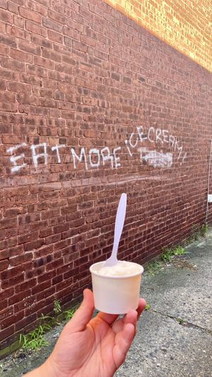 lemonade sorbet  at Mt. Tom's Ice Cream in Easthampton