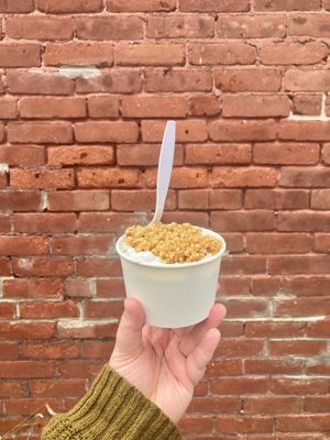 vegan pistachio with a topping of wet walnuts (maple walnuts!)  at Mt. Tom's Ice Cream in Easthampton