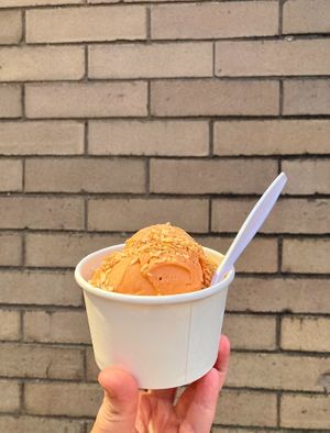 thai iced tea ice cream made with coconut milk, topped with toasted coconut  at Mt. Tom's Ice Cream in Easthampton