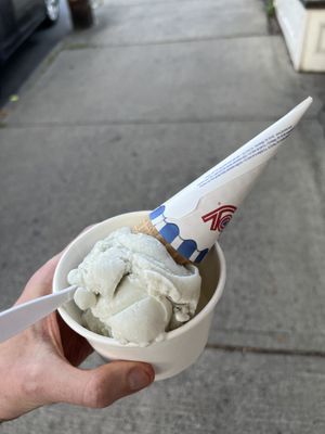 Mint Chip in a Sugar Cone  at Mt. Tom's Ice Cream in Easthampton