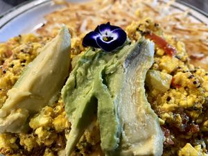 Tofu scramble with avocado and hash browns  at nightshop in Bloomington