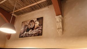   at Mama Afrika in Kassel