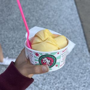 carrot mango + passion fruit   at Scoops Ice Cream & Candy in Kenosha