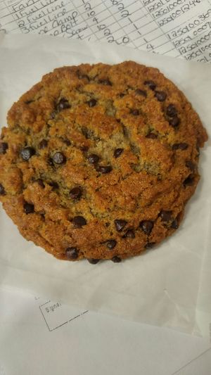 Vegan Chocolate Chip Yummyness! at Boon Burger Cafe in Oakville