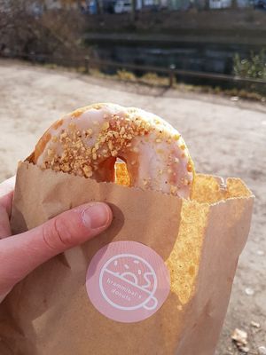 Vegan donut with hazelnut at Brammibal's Donuts - Prenzlauer Berg in Berlin