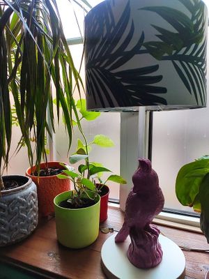  at Bez Lukru in Wroclaw