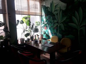 amazing murals and lovely plants at Bez Lukru in Wroclaw