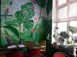 hello parrot at Bez Lukru in Wroclaw