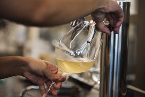 KOMBUCHA! You can drink it right here! at Oizumi Kojo Nishi-Azabu 大泉工場 in Tokyo