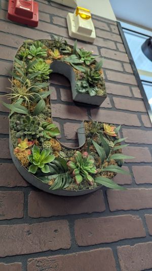 Decor at Cinelli's Pizza in Rochester