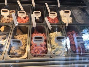 8 vegan flavours to choose from  at Cool Gelato Italiano in Scottsdale