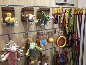 Pet toys at Bubbly Petz in East Singapore