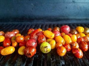tomatoes be poppin at Moveable Feast in Geneva