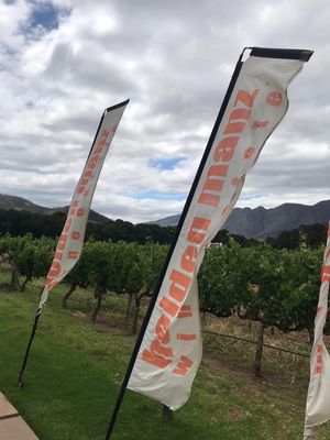  at Holden Manz Wine Estate in Franschhoek