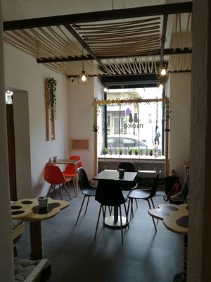 cozy at Moko Veggie Cafe - Anjos in Lisbon