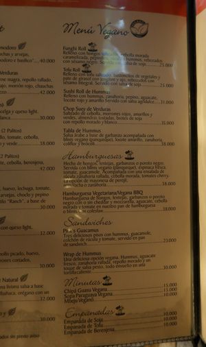 Vegan menu page at Bolsi in Asuncion