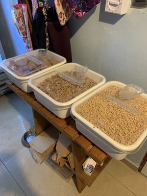 Soy meat  #Veganuary at Olio Mercado Vegano in Playa Del Carmen