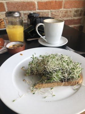 Avocado toast con champiñones  at Basic Foodie in Playa Del Carmen
