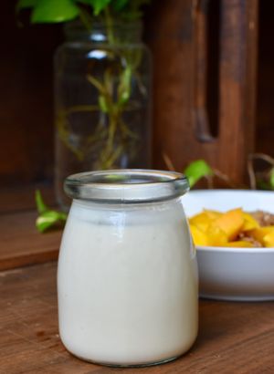 fruit with vegan yogurt at Basic Foodie in Playa Del Carmen