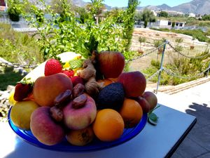 Delicious fresh fruits every day. at Jazzy Bar in Fuengirola