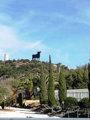 Lovely view from my table at Jazzy Bar in Fuengirola