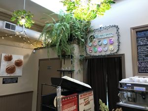 Lovely Store at Rawnaissance in Louisville