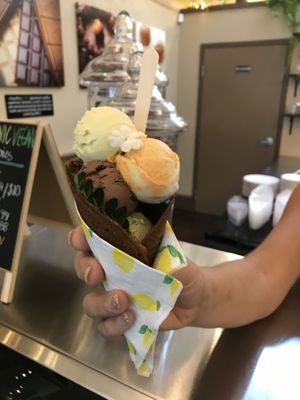 Mini gelatos in a sugar scone - so sooo gooooood at Rawnaissance in Louisville