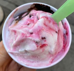 Vegan ice cream   at Gelato Di Natura in Venice