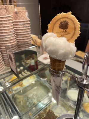 Lime Sorbet with Plain Cone !   at Gelato Di Natura in Venice