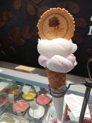  at Gelato Di Natura in Venice