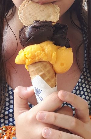  at Gelato Di Natura in Venice