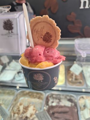  at Gelato Di Natura in Venice
