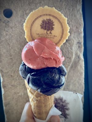   at Gelato Di Natura in Venice