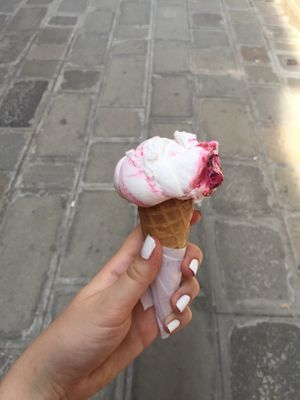 vegan ice cream  at Gelato Di Natura in Venice