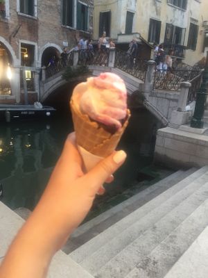 dark chocolate + vegan ice cream  at Gelato Di Natura in Venice