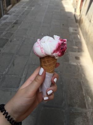 vegan ice cream  at Gelato Di Natura in Venice