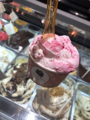 Rice Milk & Black Cherry Vegan Gelato at Gelato Di Natura in Venice