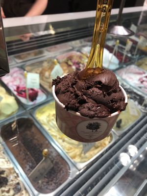 Vegan Dark Chocolate Gelato  at Gelato Di Natura in Venice