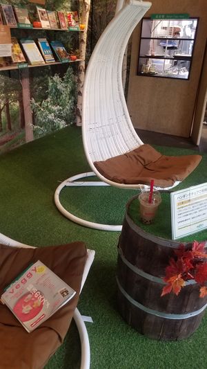 It's okay to sit in the hammock chairs while drinking a beverage if you are careful at Brook's Green Cafe in Tokyo