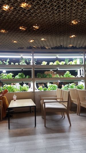 Another part of the cafe  at Brook's Green Cafe in Tokyo