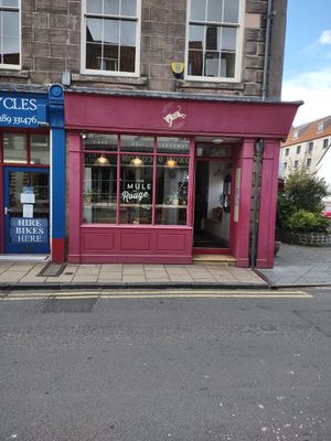 The Mule on Rouge at The Mule on Rouge in Berwick Upon Tweed