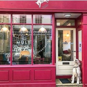 outside at The Mule on Rouge in Berwick Upon Tweed