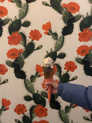 Small cone  at Frankie & Jo's - Ballard in Seattle