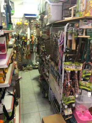 Pet product  at Takara Pets in West Singapore