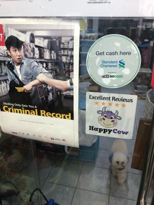 Happy Cow Decal :) at Takara Pets in West Singapore