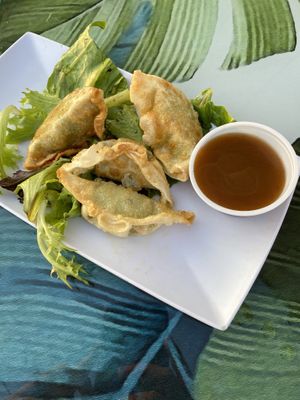 Edamame Pot Stickers at Sol Island Bar and Grill in Athens
